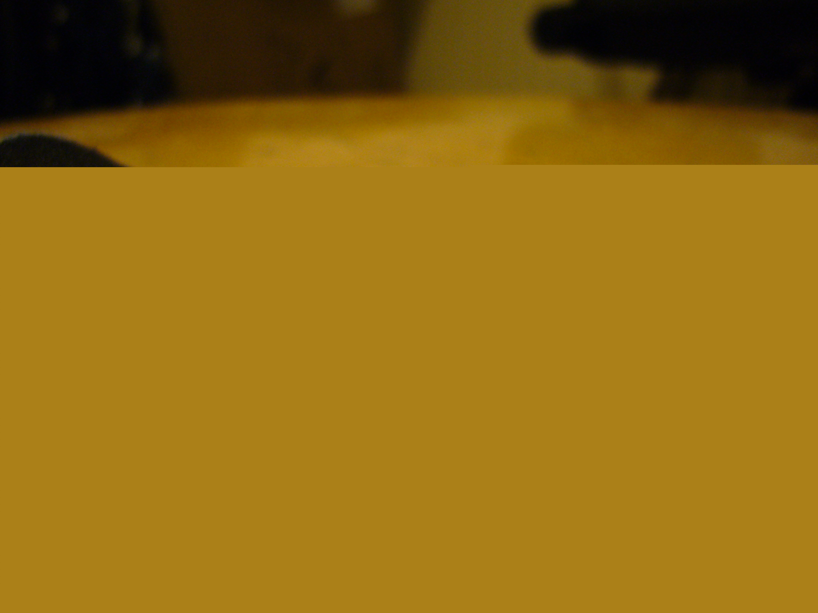 P1000082.JPG